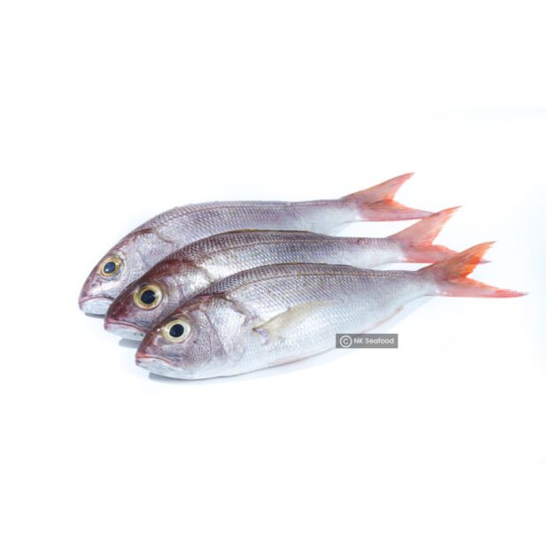 Red Mullets / රතු ගල් මාළු - Image 2