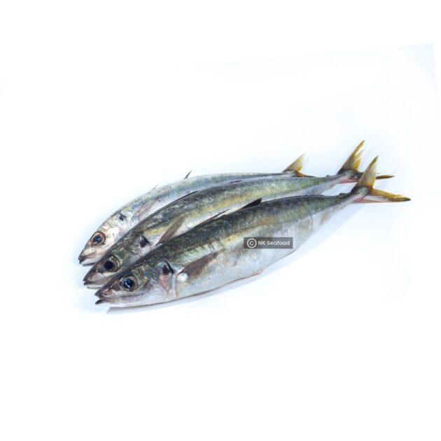 Indian Scad / ලින්නා - Image 2