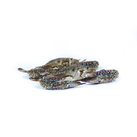 Crab 	කකුළුවා