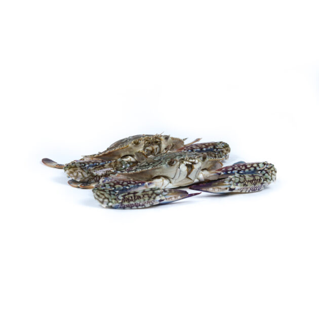 Crab 	කකුළුවා