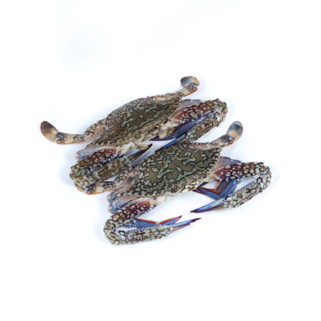 Crab 	කකුළුවා - Image 2