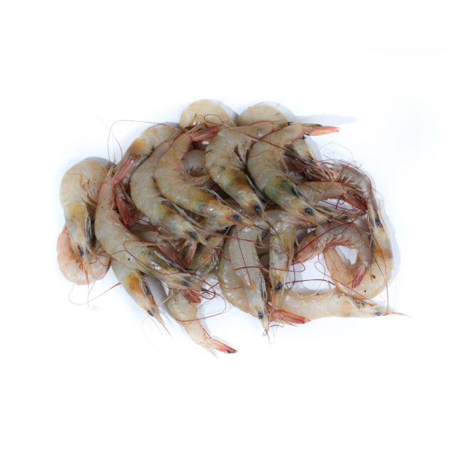 Prawns  (L)	ඉස්සෝ (L) - Image 2