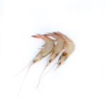 Prawns  (L)	ඉස්සෝ (L)