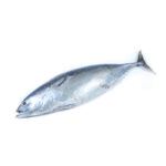 Mackerel Tuna	ඇටවල්ලා